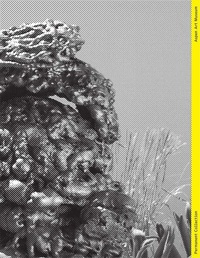 Enlarge image Cover: Permanent Collection - Issue V - Aspen Art Press