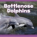 Cover: Bottlenose Dolphins - Raintree