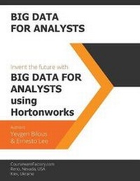 Enlarge image Cover: Big Data for Analysts - ConsultantsNetwork