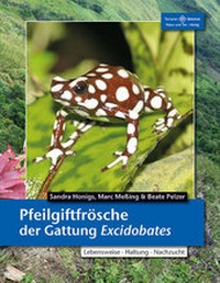 Abbildung von: Pfeilgiftfrösche der Gattung Excidobates - Natur und Tier