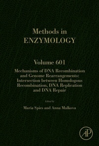 Abbildung von: Mechanisms of DNA Recombination and Genome Rearrangements: Intersection Between Homologous Recombination, DNA Replication and DNA Repair - Academic Press