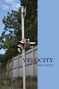 Cover: Velocity - VIRTUAL ARTISTS COLLECTIVE
