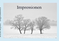Enlarge image Cover: Impressionen - epubli
