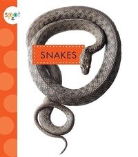 Enlarge image Cover: Snakes - Amicus Ink