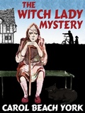 Cover: The Witch Lady Mystery - Wildside Press