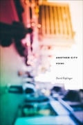 Cover: Another City - Milkweed Editions