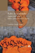 Cover: Rabo de anti-nube. Diarios 2002-2009. Edicion y prologo de Carlos A. Aguilera - Almenara