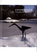 Cover: Conor Fallon - Thoughts on Sculpture - Gandon Editions