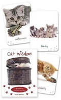 Cover: Cat Wisdom Cards - Llewellyn Publications