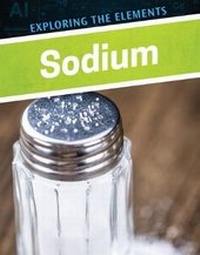 Abbildung von: Sodium - Enslow Publishing