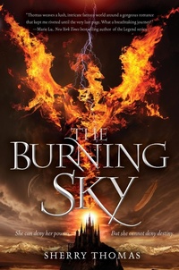 Enlarge image Cover: The Burning Sky - HarperCollins