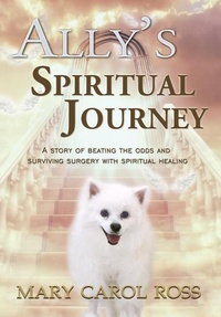 Abbildung von: Ally's Spiritual Journey - In The Light Press