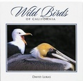 Cover: Wild Birds of California - University of Nevada Press