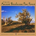Cover: A Day in the Ancient Bristlecone Pine Forest - Graphic Arts Books