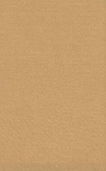 Cover: Iranian in Nineteenth Century Europe - IBEX Publishers,U.S.