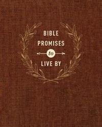 Enlarge image Cover: Bible Promises to Live by - Tyndale House Publishers