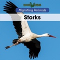 Cover: Storks - Cavendish Square Publishing