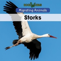 Enlarge image Cover: Storks - Cavendish Square Publishing