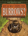 Cover: Why Do Wolf Spiders Make Burrows? - Gareth Stevens Publishing