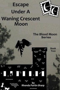 Enlarge image Cover: Escape Under A Waning Crescent Moon - Cleeps Authors