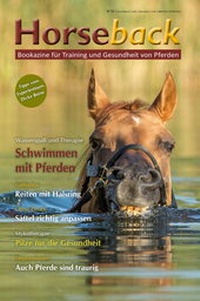Abbildung von: Horseback II - Silver Horse Edition