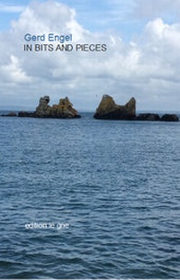 Enlarge image Cover: IN BITS AND PIECES - edtion le gne