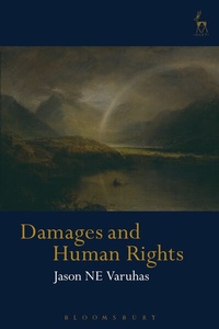 Abbildung von: Damages and Human Rights - Hart Publishing