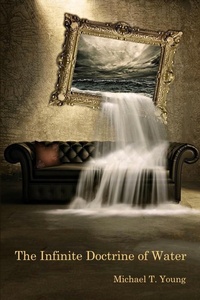 Enlarge image Cover: The Infinite Doctrine of Water - Terrapin Books