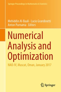 Enlarge image Cover: Numerical Analysis and Optimization - Springer