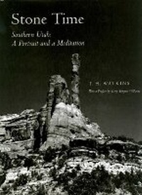 Enlarge image Cover: Stone Time - Clear Light Publishers
