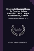 Cover: Ectoprocta (Bryozoa) From the Permian Kaibab Formation, Grand Canyon National Park, Arizona - Palala Press
