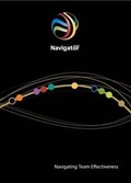 Cover: Navigating Team Effectiveness - Insights Group Limited