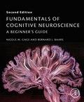 Bild: Fundamentals of Cognitive Neuroscience - Academic Press