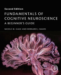 Bild: Fundamentals of Cognitive Neuroscience - Academic Press