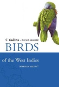 Cover: Birds of the West Indies - Collins