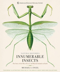 Enlarge image Cover: Innumerable Insects - Sterling