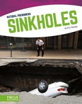 Cover: Sinkholes - Flux