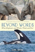 Cover: Beyond Words: What Elephants and Whales Think and Feel - Roaring Brook Press