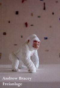 Enlarge image Cover: Andrew Bracey - Castlefield Gallery Publications