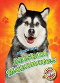 Cover: Alaskan Malamutes - Blastoff! Readers