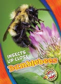 Cover: Bumblebees - Blastoff! Readers