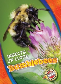 Enlarge image Cover: Bumblebees - Blastoff! Readers