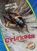 Cover: Crickets - Blastoff! Readers