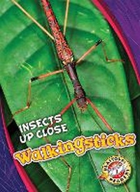 Enlarge image Cover: Walkingsticks - Blastoff! Readers