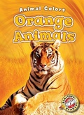 Cover: Orange Animals - Blastoff! Readers