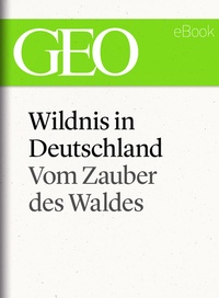 Abbildung von: Wildnis in Deutschland: Vom Zauber des Waldes (GEO eBook Single) - GEO