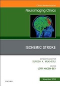 Cover: Ischemic Stroke, An Issue of Neuroimaging Clinics of North America: Volume 28-4 - Elsevier