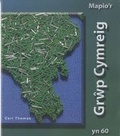 Cover: Mapio'r Grwp Cymreig yn 60 - The Welsh Group
