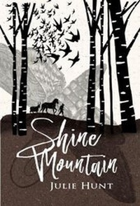 Enlarge image Cover: Shine Mountain - A&U Children