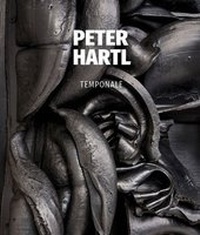 Enlarge image Cover: Temponale - Artbook Verlag